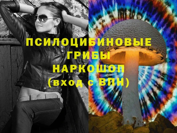 амфетамин Белокуриха