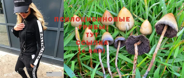 кокаин перу Богданович
