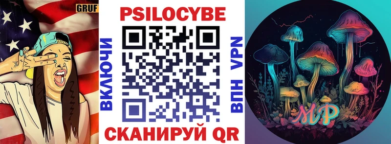 Галлюциногенные грибы Psilocybe  купить наркотики цена  Бодайбо 